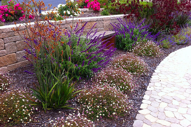 Earthscapes Landscaping Services Plants