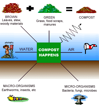 What is Compost Blog